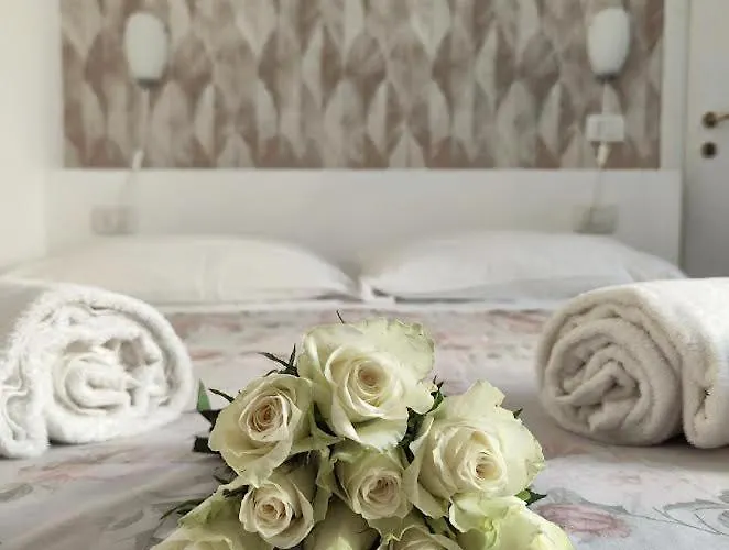 Πανσιόν Nashira